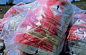 Sacks of asbestos awaiting burial at landfill site