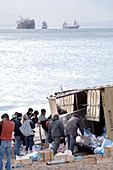 MSC Napoli shipwreck,January 2007