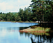 Shore of Lake Gardsjon,Sweden