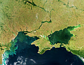 Phytoplankton blooms in the Black Sea