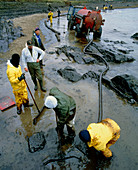 Workers cleaning up an oil slick on a beach