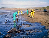 Workers cleaning up an oil slick on a beach