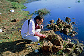 Scientist takes a sample for pollution monitoring