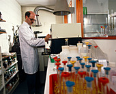 Scientist using a spectrometer
