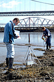 Coastal radiation monitoring