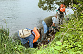 River pollution clean-up,volunteers