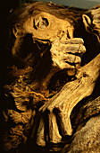 Inca mummy,Peru