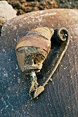 Bronze Age bone ornament