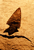 Bronze Age arrow-head