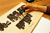 Researcher measuring papyrus scrolls