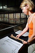 Examining prehistoric animal bones