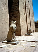 Ancient Egyptian statues of Horus