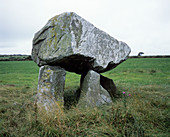 Llech Y Tripydd standing stones