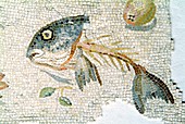 Roman mosaic,Aquileia