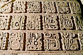 Mayan stone carving