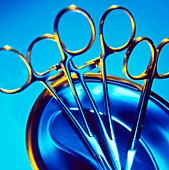 Surgical forceps and scissors in a metal bowl