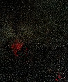 Optical image of starfields in northern Cygnus