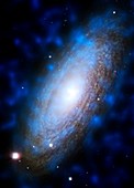 Galaxy NGC 2842,Chandra X-ray image