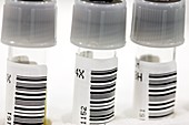 Medical sample tubes