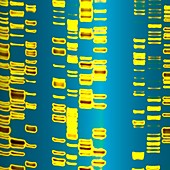DNA autoradiogram,artwork