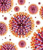 Herpes virus particles,artwork