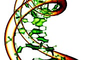 DNA molecule,conceptual artwork