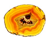 Agate slice