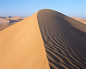 Sand dune crest