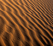 Ripples in a sand dune