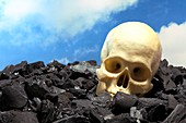 Skull and coal