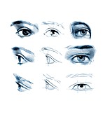 Eyes,artwork