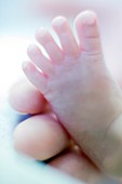Premature baby's foot