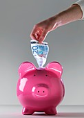 Piggy bank with euros