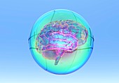 Brain in sphere,computer artwork