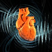 Heartbeat,conceptual artwork