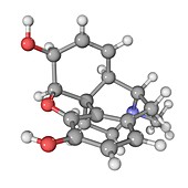 Morphine drug molecule
