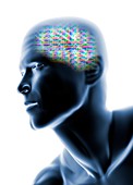 Human head with EEG brainwaves