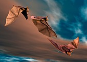 Bats in flight,artwork