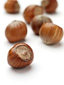 Hazelnuts