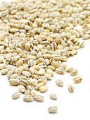 Pearl barley