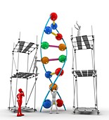 DNA construction,artwork