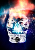 Crystal skull,artwork