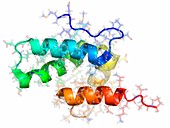 Rous sarcoma virus capsid protein