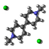 Paraquat herbicide molecule