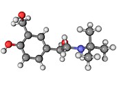 Salbutamol asthma drug molecule
