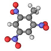 TNT molecule