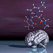 Zolpidem sedative drug molecule