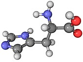 Histidine amino acid molecule