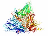 Nodamura virus coat protein