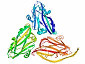 Tobacco necrosis virus capsid proteins